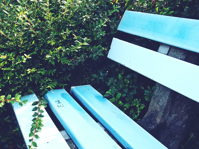 他球队提供 他球队提供