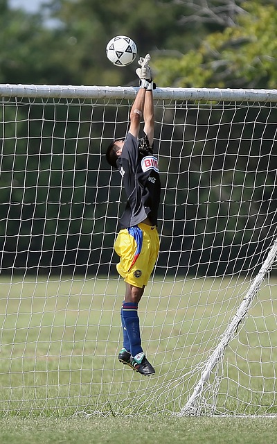 多诺万的指 多诺万的指