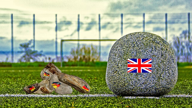 中超球队提 中超球队提